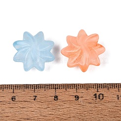 Perles acryliques transparentes bicolores&nbsp;OACR-Q199-29