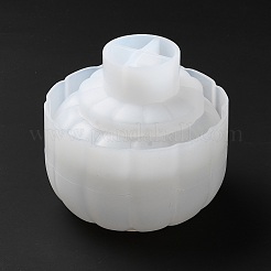 Caja de almacenamiento de diy moldes de silicona&nbsp;DIY-G086-07