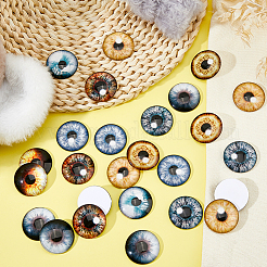32 Stück 8 Farben Glas Cabochons&nbsp;GLAA-FH0001-92