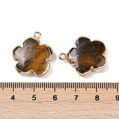 Pendentifs en œil de tigre naturel&nbsp;G-P566-01G-07