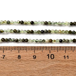 Natur Prehnit Perlen Stränge&nbsp;G-L629-B05-2mm