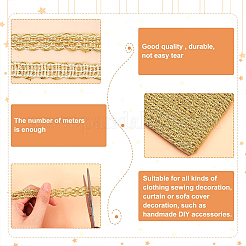 Rubans de dentelle tressée en polyester&nbsp;OCOR-WH0060-73A
