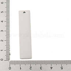 Grands pendentifs en acier inoxydable 201 anti-ternissement&nbsp;STAS-L079-027B-P