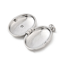 Messing Micro Pave klare Zirkonia Medaillon Anhänger&nbsp;KK-L262-03P