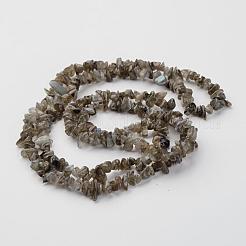 Natur Labradorit Chips Perlen Stränge&nbsp;X-F069