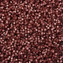 Miyuki Delica Perlen&nbsp;SEED-X0054-DB2179