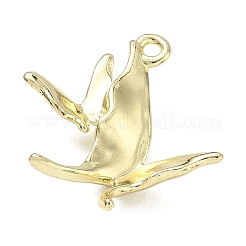Aluminium Anhänger & Charms&nbsp;AL-CBA1599-02G