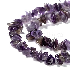 Natürlichen Amethyst Chips&nbsp;X-Z0RRN