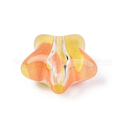 Bedruckte transparente Acrylperlen&nbsp;OACR-N161-07C