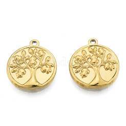 Pendentifs en acier inoxydable 304 avec placage ionique (IP)&nbsp;STAS-N098-210LG