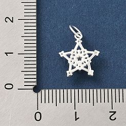 925 colgante de plata de ley con circonita cúbica transparente pavé&nbsp;STER-G049-01B-S