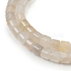 Cuentas de ágata natural hebras&nbsp;G-G275-D24-10x10mm