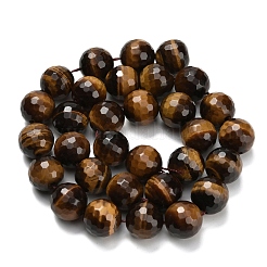 Chapelets de perles d'œil de tigre naturel&nbsp;G-L642-F01-12mm
