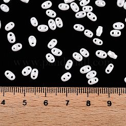Undurchsichtige Farben Glanz Glas Saatperlen&nbsp;SEED-T006-02L