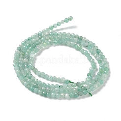 Brins de perles d'émeraude naturelles&nbsp;G-P514-A01-01
