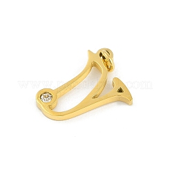 Colgantes de acero inoxidable 304&nbsp;LS-STAS-R137-01G-V