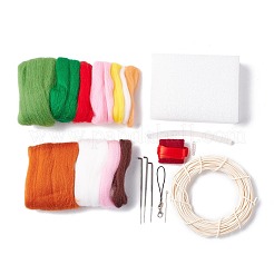 Kit de feutrage à l'aiguille bricolage&nbsp;DIY-D067-05P
