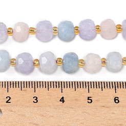 Natürliche Perlenstränge aus Lavendel&nbsp;G-G271-D01-6x8mm