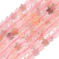 Stränge aus natürlichen violetten Erdbeerquarzperlen&nbsp;G-G085-B61-02