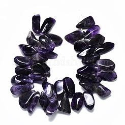 Perle di fili di ametista naturale&nbsp;G-R485-06B