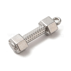 Colgantes de acero inoxidable 304 que no se deslustran&nbsp;STAS-K273-01P