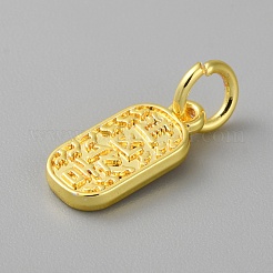 Legierungsanhänger mit chinesischen Schriftzeichen&nbsp;LS-FIND-WH0159-63G-29