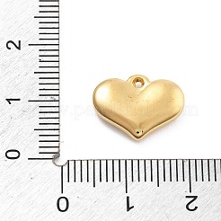 Ciondoli in acciaio inossidabile 304&nbsp;STAS-R155-054A-G