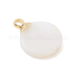 Flache&nbsp;PALLOY-JF04893