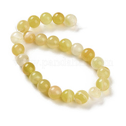 Chapelets de perles en agate à rayures naturelles/agates à bandes&nbsp;G-Z060-A01-B20