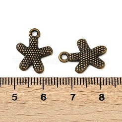 Tibetischer stil Aluminium Anhänger & Charms&nbsp;MLF0201Y