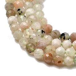 Fili di perline quarzo naturale &nbsp;G-RM250104-E4