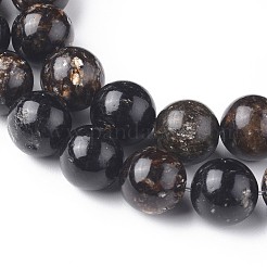 Perline biotite naturale fili&nbsp;G-L528-06B