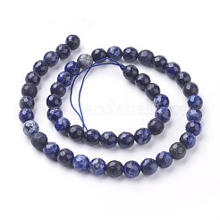 Natürlicher Lapislazuli Perlenstränge&nbsp;G-G059-8mm