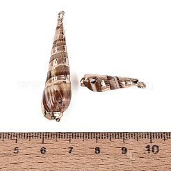 Galvanische natürliche Spiralschalenanhänger&nbsp;SSHEL-Q100-50G