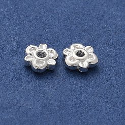 Perles 925 en argent sterling&nbsp;STER-D300-24S-05