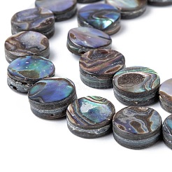 Natürliche Abalone Muschel / Paua Muschel Perlen Stränge&nbsp;SSHEL-G003-5-8x3mm