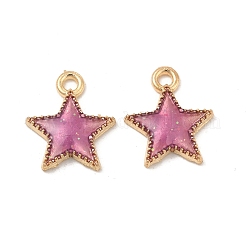 Legierung Emaille Anhänger / charms&nbsp;ENAM-S121-024