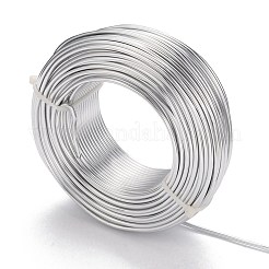 Runder eloxierter Aluminiumdraht&nbsp;AW-F004-1mm-01