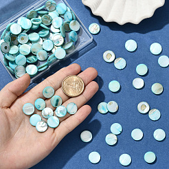 4 Strang natürliche Muschelperlenstränge&nbsp;SHEL-SC0001-80