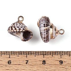 Pendenti in conchiglia naturale elettrolitica&nbsp;BSHE-T015-05