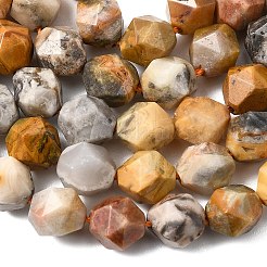 Chapelets de perles en agate fou naturel&nbsp;G-Z119-A13-03