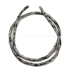 Natürliche Larvikit-Perlenstränge&nbsp;G-P600-B08-01