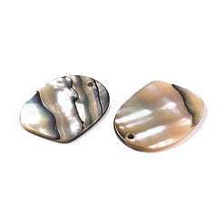 Natur Paua Muschel Anhänger&nbsp;X-SHEL-T020-11A