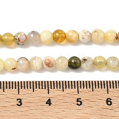Natürliche gelb Opalkorne Stränge&nbsp;G-I213-18-4mm