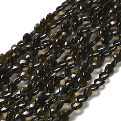 Natürliche goldenen Glanz Obsidian Perlen Stränge&nbsp;G-P575-C04-6mm
