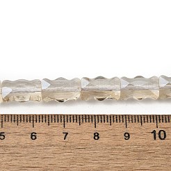 Chapelets de perles en verre électroplaqué&nbsp;EGLA-L045-F-PL01