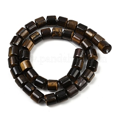 Natürlichen Tigerauge Perlen Stränge&nbsp;G-G275-D22-10x10mm