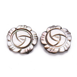 Labbro nero naturale cabochon conchiglia&nbsp;SSHEL-T014-24