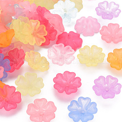 Copri tallone acrilico trasparente satinato, 5 -petal, fiore, colore misto, 16.5x6mm, Foro: 1.6 mm, circa 959pcs/500g