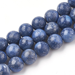 Synthetic Coral Beads Strands, Dyed, Round, Blue, 10mm, Hole: 1mm, about 40pcs/strand, 15.7 inch